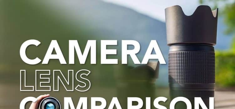 Camera Lens Comparison For Beginners: All Purpose vs Telephoto